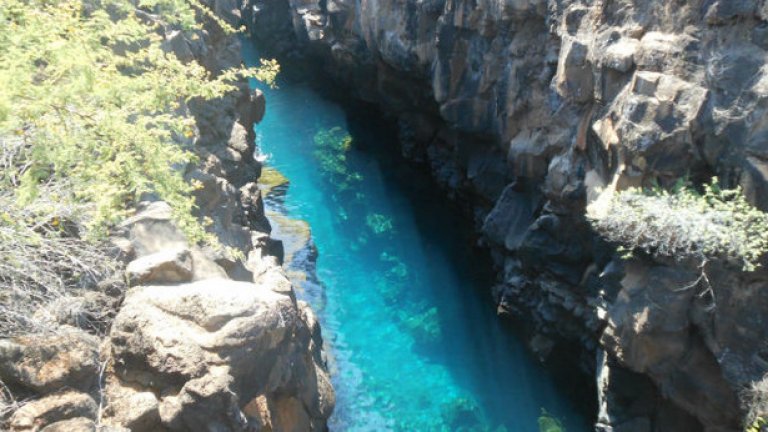 Естественият басейн Лас Гриетас се намира на остров Санта Круз, част от Галапагоските острови