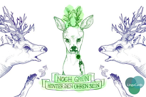 Германският израз за "Още има мляко/жълто покрай устата" или "Зелен е"