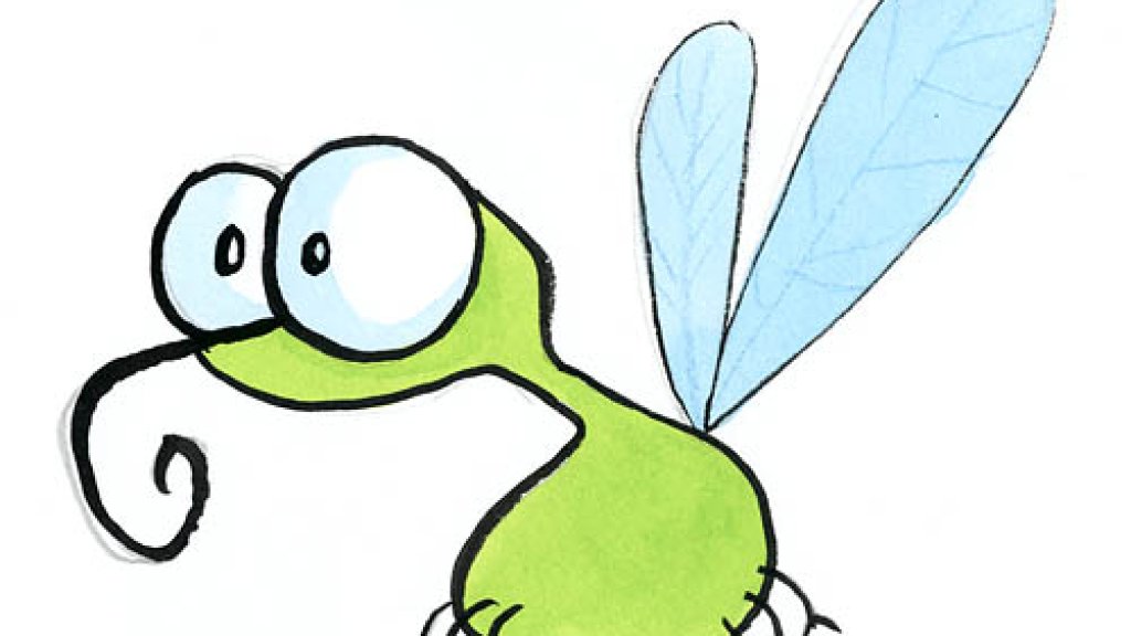 moustique
