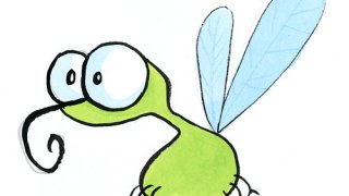 moustique