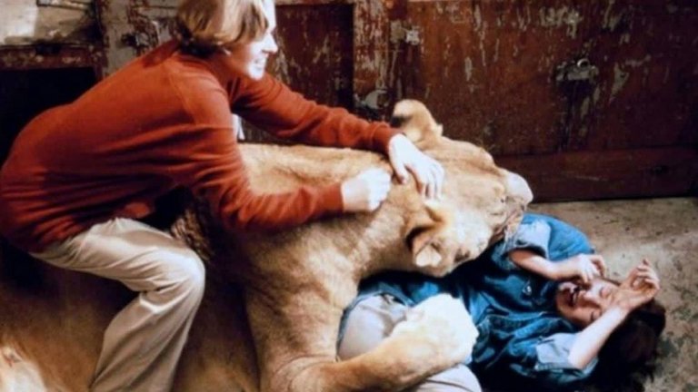 Мелани Грифит (Roar)

Филм с големи и опасни котки – кой да очаква, че ще има проблеми? "Roar" (1981) е филм със 70 пострадали членове на екипа поради факта, че в него са използвани много лъвове, пуми и тигри, някои от които нетренирани. Със сериозни ухапвания са режисьорът, синът му, асистент режисьорът и оператор.

Грифит се появява във филма, тъй като майка й е продуцент, а доведеният й баща – режисьор. Актрисата обаче се отказва от "Roar" след като наблюдава бой между два лъва. Тревогата й е, че след края на снимките може да бъде обезобразена.

Убеждават я да се върне, но лошото й предчувствие се сбъдва – тя е нападната от едно от животните. Нужни са множество шевове и хирургическа намеса, за да се избегне обезобразяването на актрисата до живот.