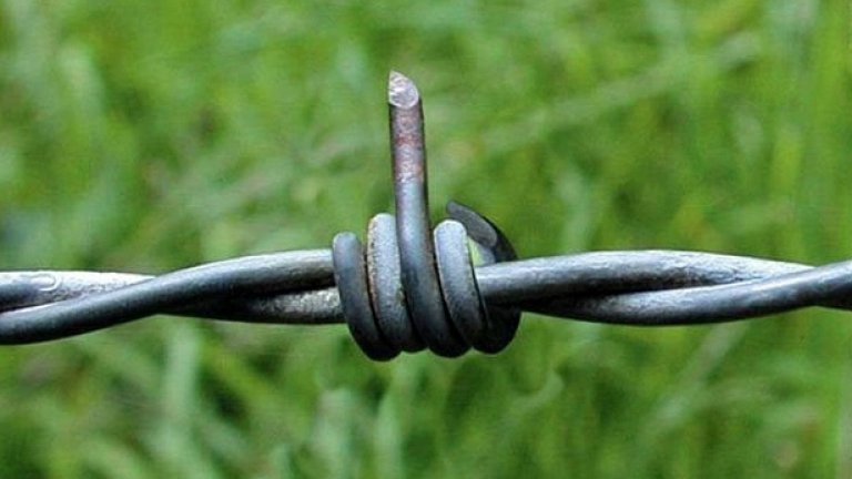 Краен песимизъм цари в половината сектор