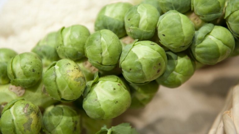 Брюкселско зеле - 37 калории / 100 гр.
Брюкселско зеле са особено високо съдържание на протеини в сравнение с други зелени зеленчуци. Други ползи включват защита на очите и здравето на костите.