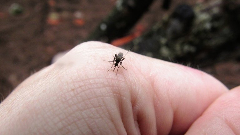 Борбата с вредителите е като в шекспирова дилема