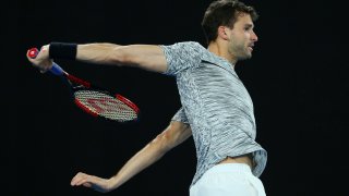 григор димитров