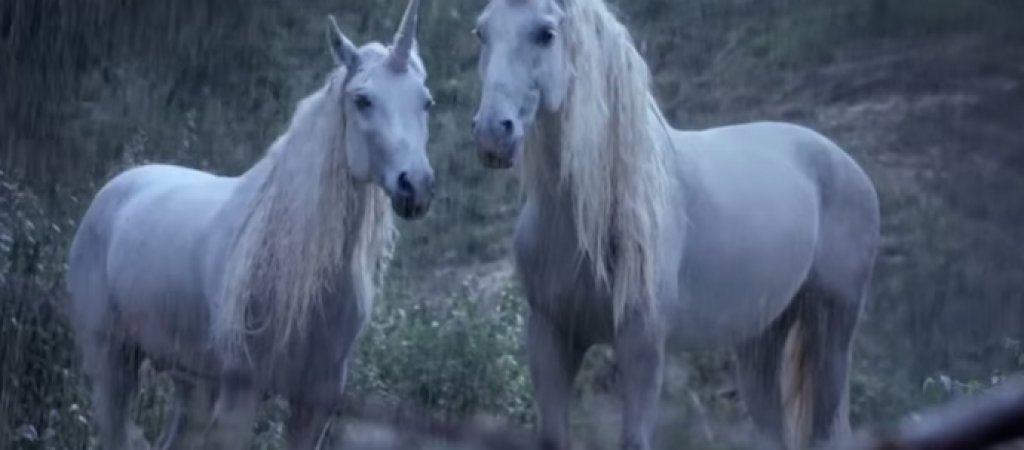 unicorn