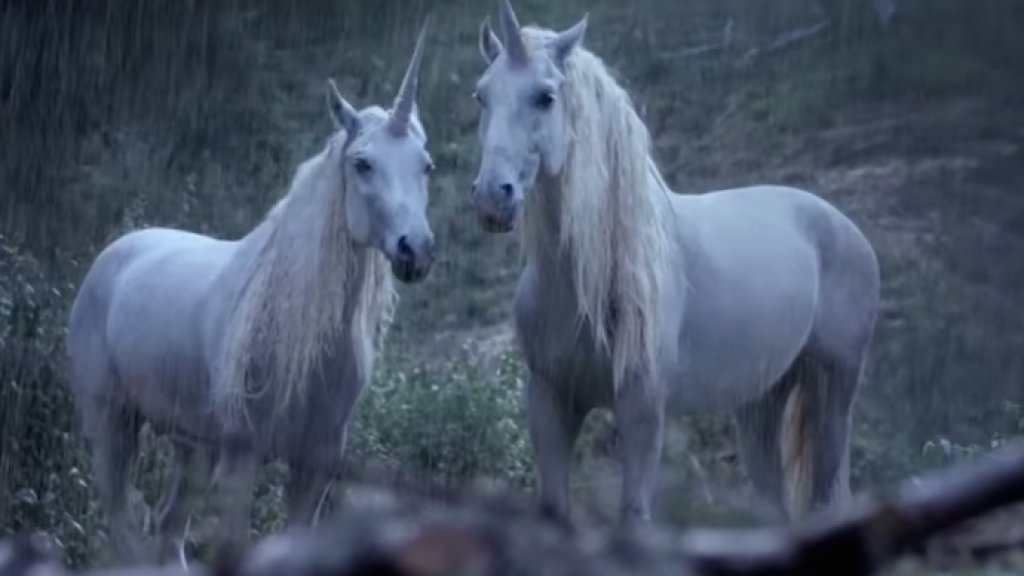 unicorn