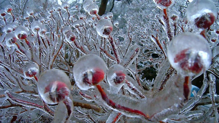 Астрономическата зима настъпи