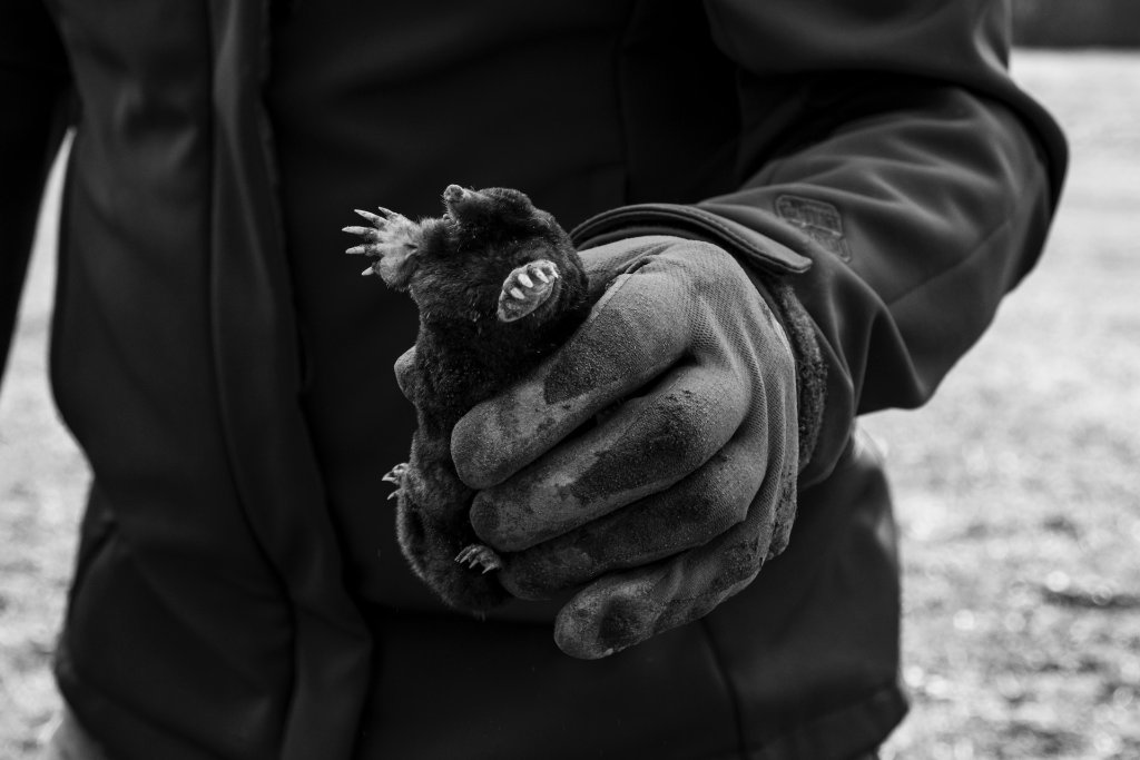 lara-lone-0uqrkBrALLs-unsplash