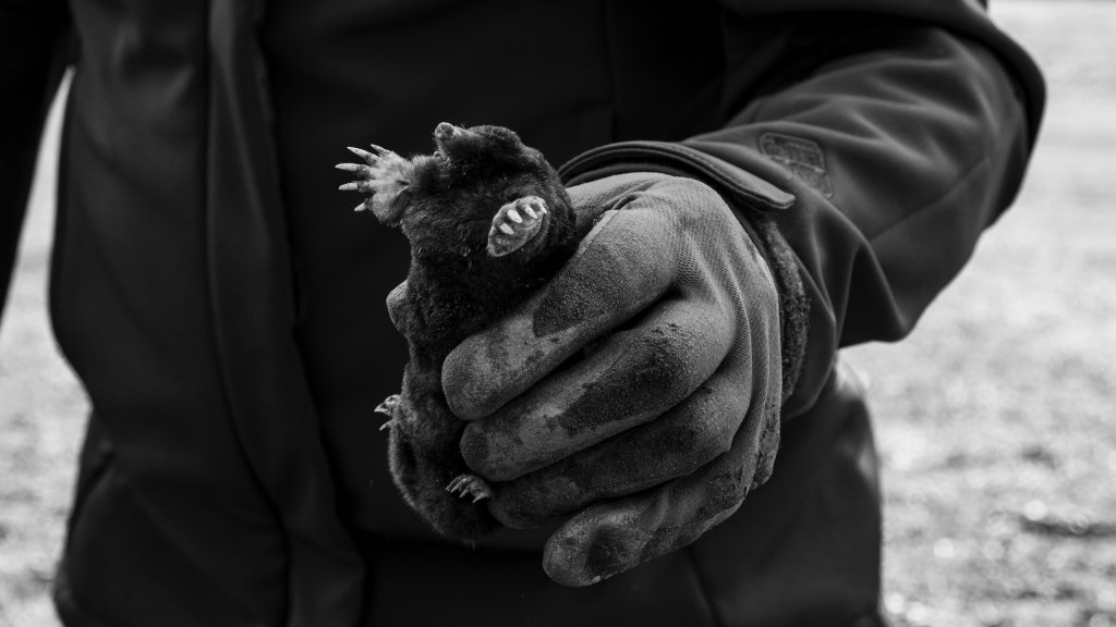 lara-lone-0uqrkBrALLs-unsplash
