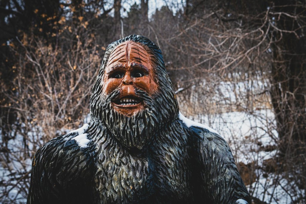 jon-sailer-vt9v8arVaQs-unsplash