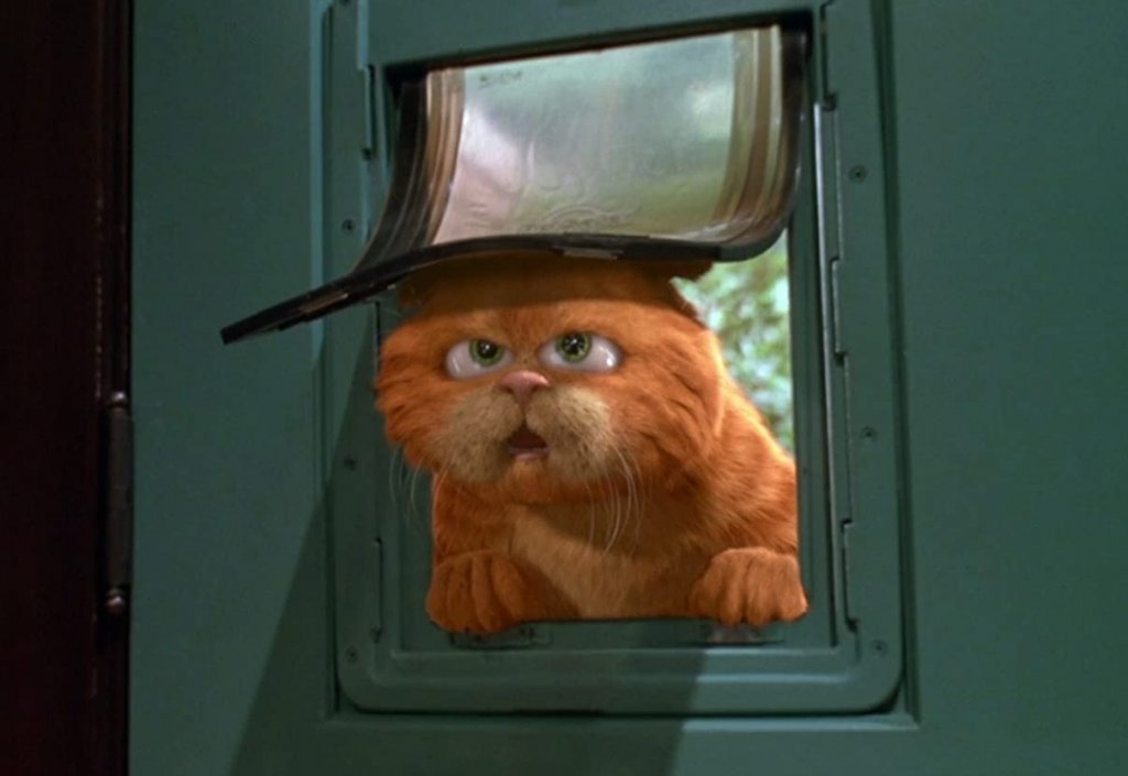 Когато се озовава в Лос Анджелис, за да запише репликите, Мъри е изумен от това колко нелепи са шегите в сценария. Страница след страница се опитва да изкара нещо забавно. Едва тогава разбира, че става дума за съвсем друг Джоел Коен - сценарист на не особено запомнящи се семейни комедии. "Гарфийлд" също е несполучлив, но в такъв случай не е ясно защо Мъри е озвучавал котарака и в продължението.