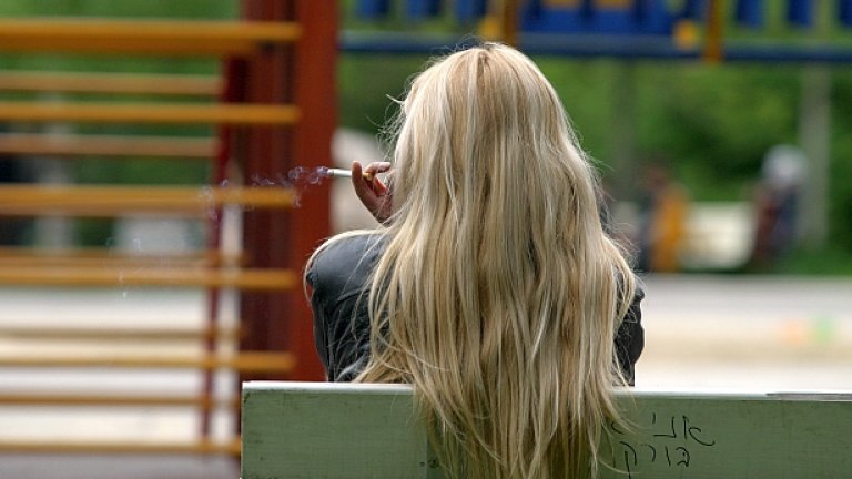 Кой всъщност следи за това как фирма Боду СОД, която охранява парка Заимов, се справя със задълженията си