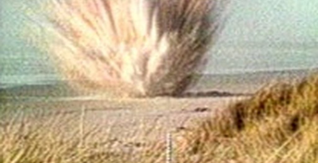 Exploding_whale_screengrab