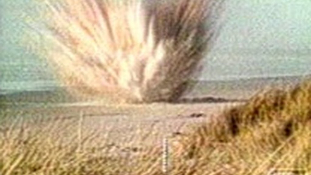 Exploding_whale_screengrab