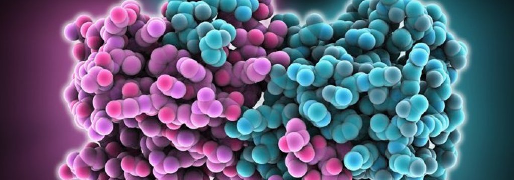 ebola