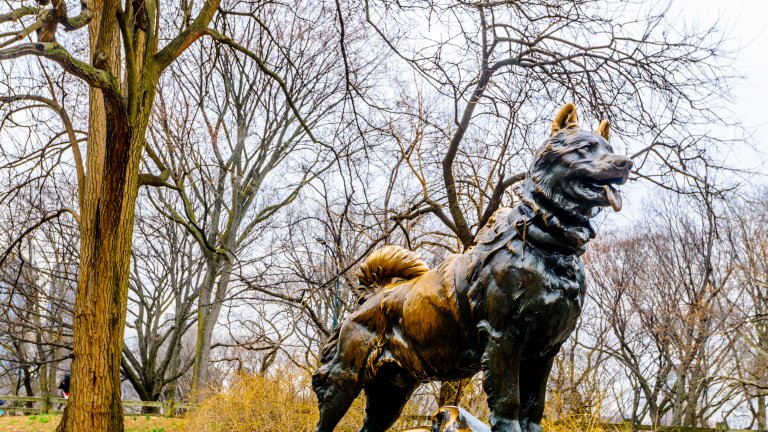 Балто има статуя в Ню Йорк.