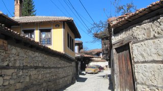 копривщица