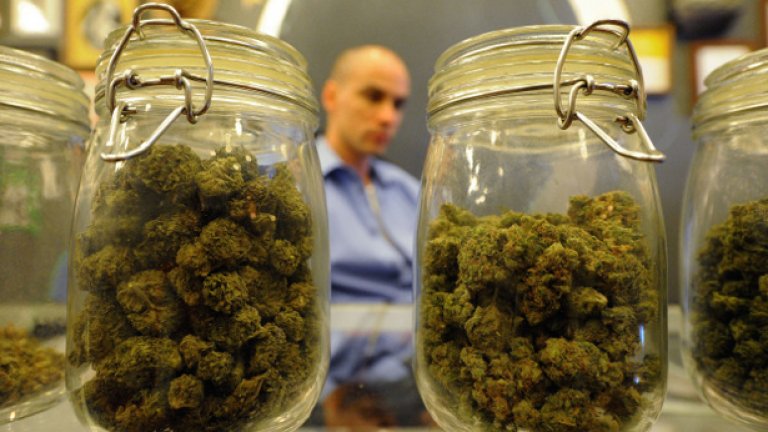 Уругвай ще развива индустрия на марихуаната