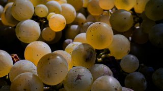 bernd-dittrich-5LL49jG9bY0-unsplash