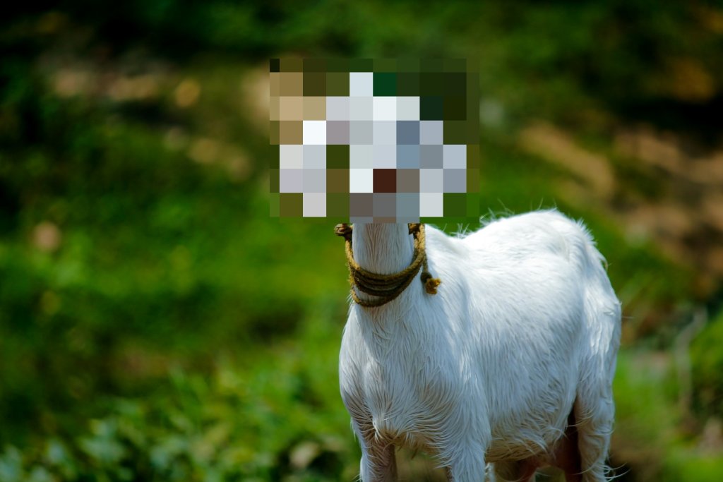nandhu-kumar-jAMcUbsTvWE-unsplash (1)
