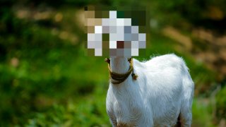 nandhu-kumar-jAMcUbsTvWE-unsplash (1)