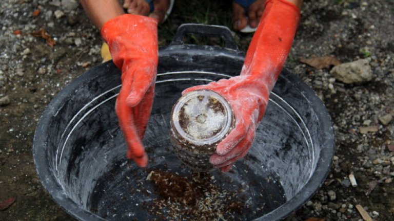 Не дали, а кога ще проядем скакалци