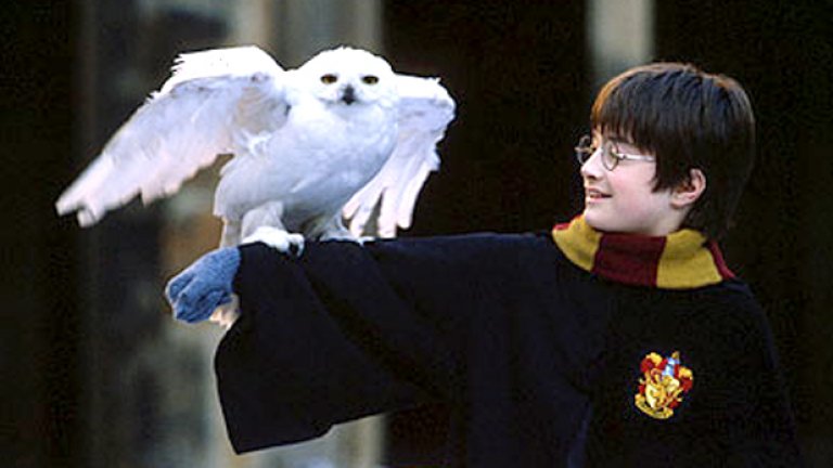 "Като подражание на Хари Потър, изглеxда има странно голям интерес дори сред градската средна класа да подаряват на децата си сови..." 