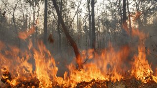 Пожарникари продължават да се борят със стихии на други места в страната (снимката е илюстративна)