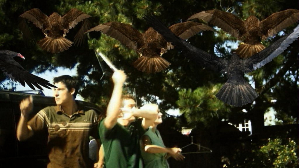 "Birdemic: Shock And Terror"
През 1963 г. Алфред Хичкок възкреси романа на Дафни дю Морие "Птиците" в едноименния филм и беше прекрасно. Единственото, по което си приличат "Птиците" и "Birdemic: Shock And Terror" обаче е, че и в двата филма има птици. Този епичен ужас е дело на виетнамския софтуерен търговец Джеймс Нгуен и първоначално получава отказ да дебютира на фестивала "Сънданс" през 2009 г. Нгуен обаче е твърдо решен да реализира мечтата си филмът му да види свят и започва да го промотира, обикаляйки улиците с ван, натъпкан с птици, фалшива кръв и флайъри. В крайна сметка, постига целта си. Филмът се появява на първа страница на "The New York Times" и влиза в кината, където забавлява зрителите с кухите си диалози и отвратителните опити за визуални ефекти.За да е по-ясно за каква каша става въпрос, сюжетът се върти около бизнесмен от Силициевата долина и приятелката му - модел на бельо, които биват нападнати от гълъгби, плюещи киселина.