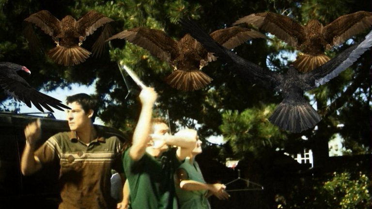 "Birdemic: Shock And Terror"
През 1963 г. Алфред Хичкок възкреси романа на Дафни дю Морие "Птиците" в едноименния филм и беше прекрасно. Единственото, по което си приличат "Птиците" и "Birdemic: Shock And Terror" обаче е, че и в двата филма има птици. Този епичен ужас е дело на виетнамския софтуерен търговец Джеймс Нгуен и първоначално получава отказ да дебютира на фестивала "Сънданс" през 2009 г. Нгуен обаче е твърдо решен да реализира мечтата си филмът му да види свят и започва да го промотира, обикаляйки улиците с ван, натъпкан с птици, фалшива кръв и флайъри. В крайна сметка, постига целта си. Филмът се появява на първа страница на "The New York Times" и влиза в кината, където забавлява зрителите с кухите си диалози и отвратителните опити за визуални ефекти.За да е по-ясно за каква каша става въпрос, сюжетът се върти около бизнесмен от Силициевата долина и приятелката му - модел на бельо, които биват нападнати от гълъгби, плюещи киселина.