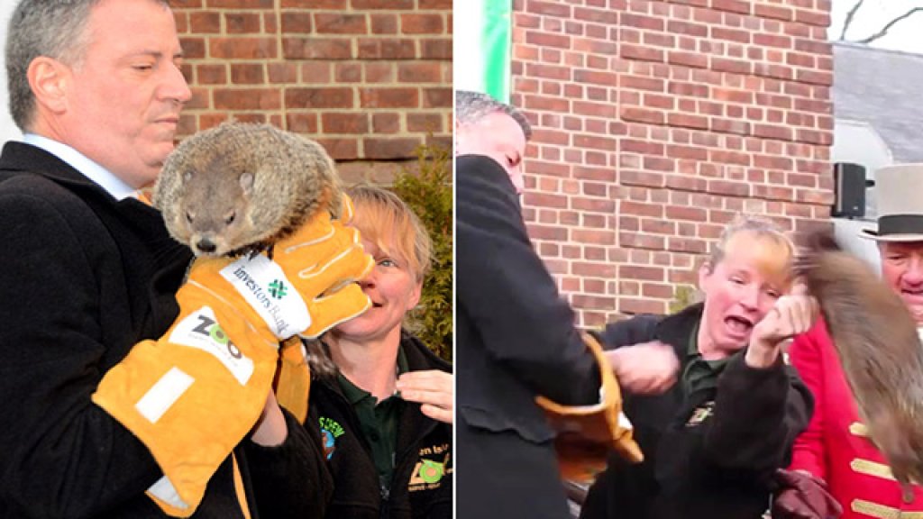 bill de blasio