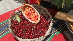 Овощните градини с череши в района вече са в цъфтеж