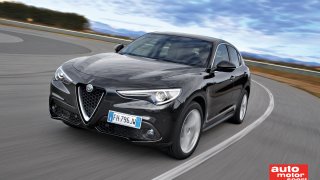 ams FB Alfa Stevio