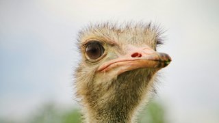 simon-infanger-CRtT75GOg5E-unsplash