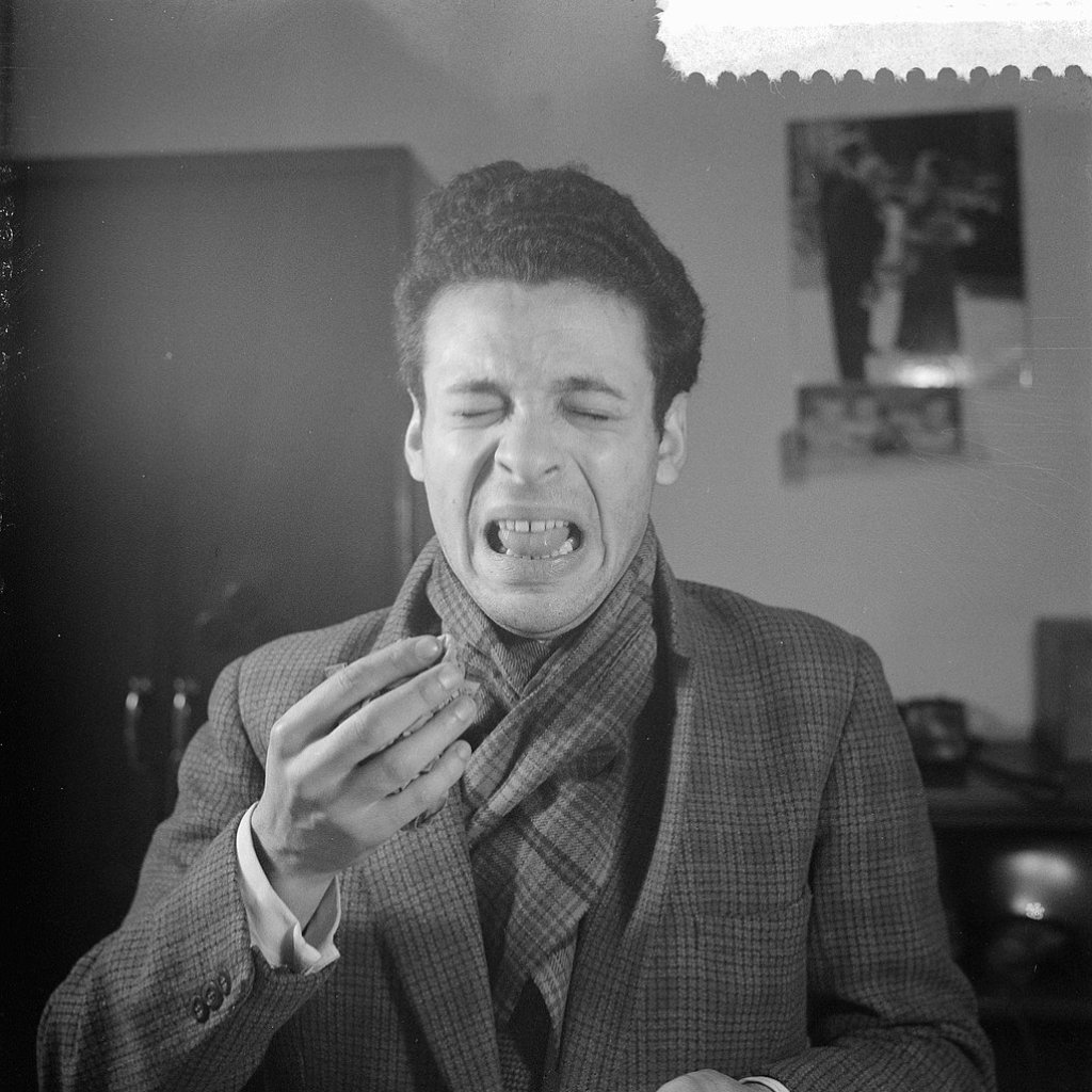 1020px-Mannetje_dat_zit_te_niezen,_Bestanddeelnr_909-0015