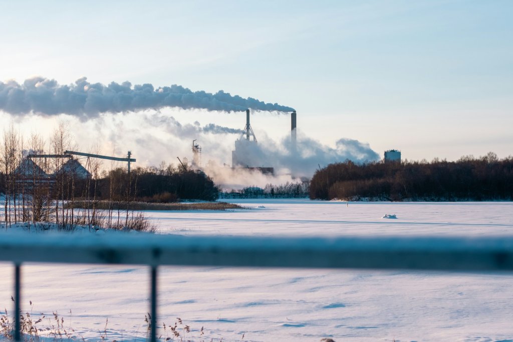 aleksi-partanen-WsKlufJ6MzQ-unsplash