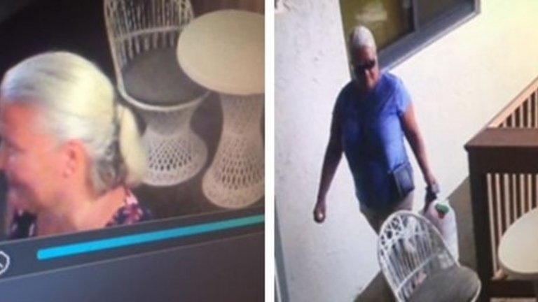 Видеозапис показва, че Луис Райс е достигнала от Минесота до Флорида, където се е запознала с Памела Хъчинсън. Двете жени си приличат визуално.