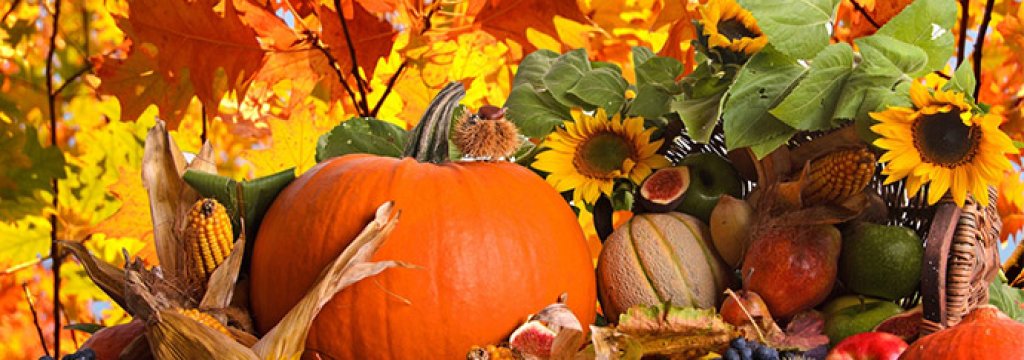 1183-autumn-harvest-wallpaper-1680x1050