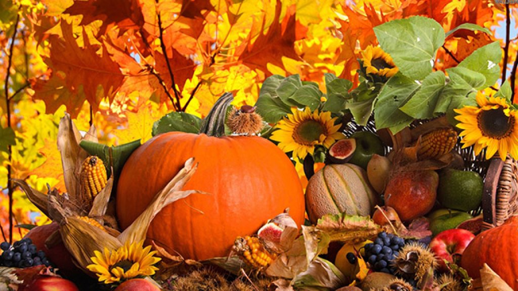1183-autumn-harvest-wallpaper-1680x1050