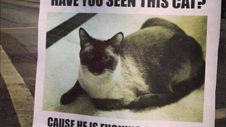 Септември в графити