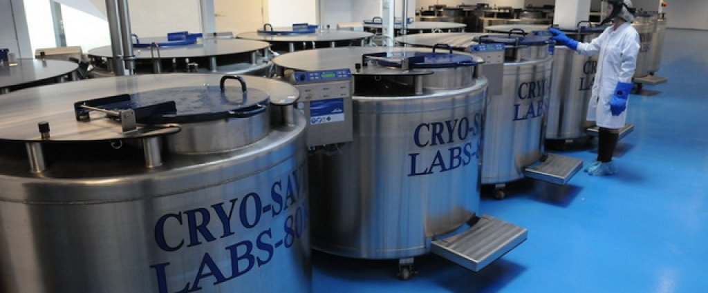 slike-banka-maticnih-celija-cryo-save22824