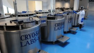 slike-banka-maticnih-celija-cryo-save22824