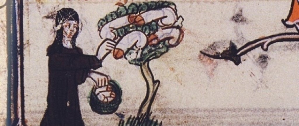 Marginalia_en_Roman_de_la_Rose