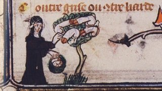 Marginalia_en_Roman_de_la_Rose