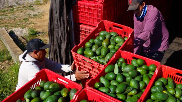 Митата ще засегнат всички вноски стоки, но земеделската продукция е сред първите.