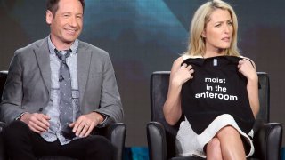 досиетата х, джилиан андерсън, дейвид духовни