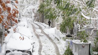 Над 100 сигнала са подадени в Столична община за паднали дървета и клони