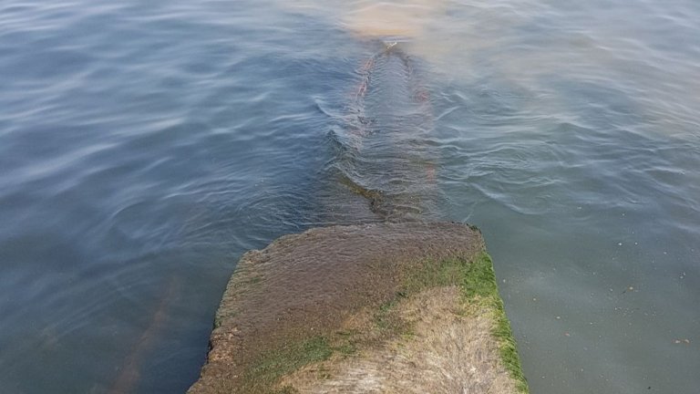 ДНСК потвърди: Фекални води се изливат в залив край Синеморец