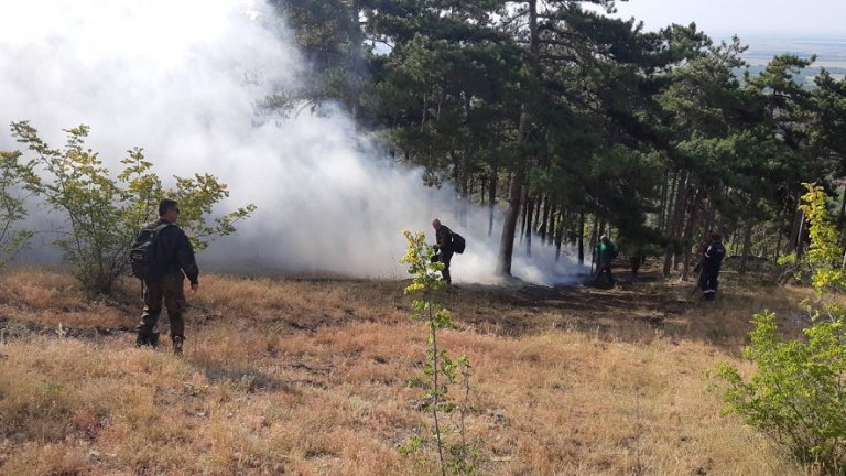16 жители от село Присадец бяха евакуирани заради близостта на пламъците до населеното място